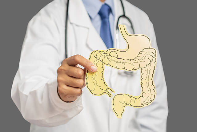 紙でできた大腸の模型を持つ医師